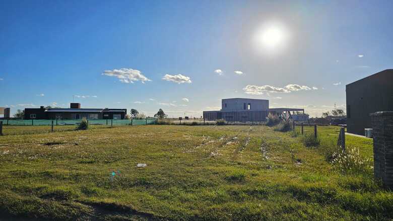Lote TRISQUELIA - segunda etapa